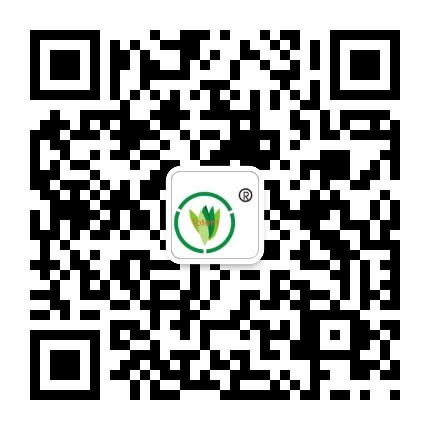 &#20061;&#28216;&#23448;&#26041;&#31449;&#32593;&#39029;&#29256;&#45;&#20061;&#28216;&#40;&#20013;&#22269;&#41;