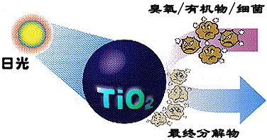 &#20061;&#28216;&#23448;&#26041;&#31449;&#32593;&#39029;&#29256;&#45;&#20061;&#28216;&#40;&#20013;&#22269;&#41;